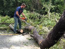 Mulching Services in Woodstock, IL